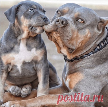 Torne-se mãe e o que realmente acontece, mostrado em 30 fotos