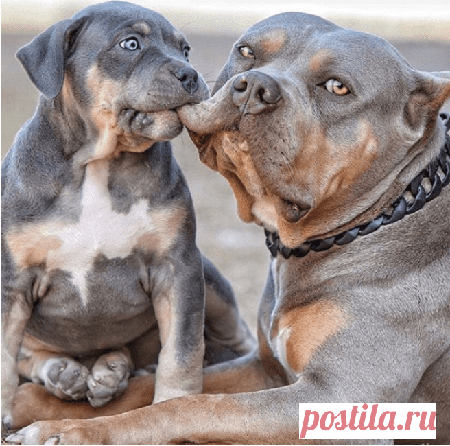 Torne-se mãe e o que realmente acontece, mostrado em 30 fotos