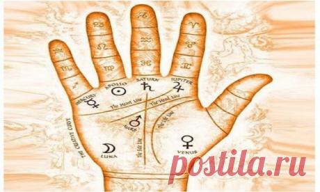 Что значат линии на ладони? Простым и доступным языком!