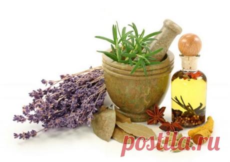 Полезное | Записи в рубрике Полезное | Дневник Путь_к_истинной_себе