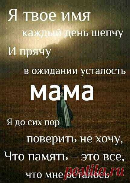 БЕРЕГИТЕ СВОИХ МАТЕРЕЙ...
Берегите своих матерей,
Как цветы от холодной вьюги, —
Их любовь во сто крат горячей,
Чем друзей и любимой подруги.
Материнской любви не объять:
В летний зной и в пургу, и в стужу
Она всё вам готова отдать,
Всё до грамма и даже душу!
Берегите своих матерей —
Вам их ласки никто не заменит.
Среди пасмурных жизни дней
Кто поймёт вас и кто оценит?
Кто возьмёт на себя всю боль,
Все терзанья души и муки?
Мать не даст вместо хлеба соль,
Мать всегда вам п...