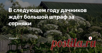 В следующем году дачников ждёт большой штраф за сорняки Дачный участок для нашего гражданина – это чаще всего отдых от городской суеты и шума наедине с природой и мелкими хозяйственными хлопотами. Власть совсем скоро обещает приумножить хлопоты российских дачников и более того, возможно, придётся платить штрафы.
Кстати, подписавшись на канал «Родина» Вы всегда будете в курсе всех новинок пенсионного и социального обеспечения, вводимы налогов, льгот и ш