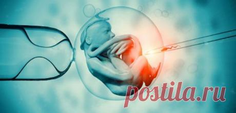 Исследование: люди перестанут размножаться без помощи врачей