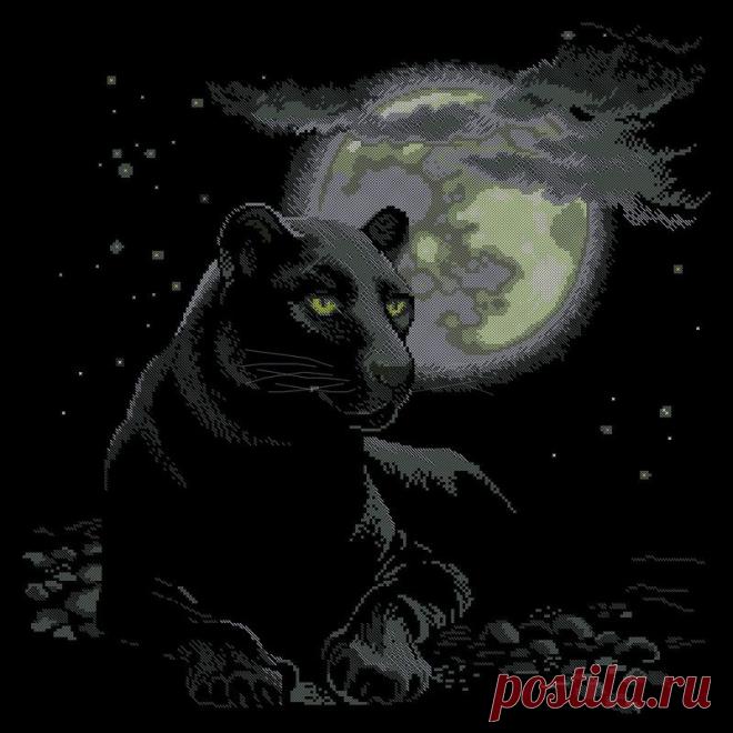 Альбом «Жаккард»