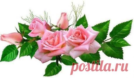 Нет большего счастья, чем чувствовать, что люди любят тебя и радуются твоему присутствию.
====================
***Шарлотта Бронте."Джейн Эйр"