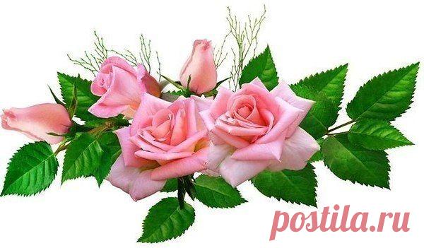 Нет большего счастья, чем чувствовать, что люди любят тебя и радуются твоему присутствию.
====================
***Шарлотта Бронте."Джейн Эйр"