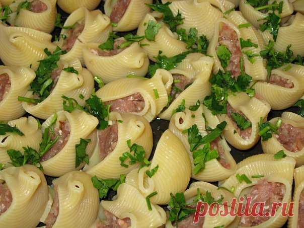 Ракушки с фаршем и соусом бешамель. Блюдо, которое нравится всем без исключения!