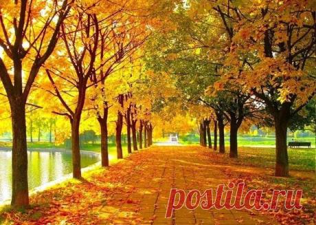 Красоты России. - 22 фото. Фотографии veronika erokhina.