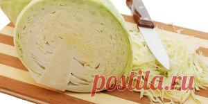 Блюда с капустой – Италия по-русски