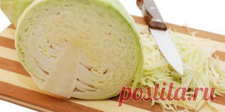 Блюда с капустой – Италия по-русски