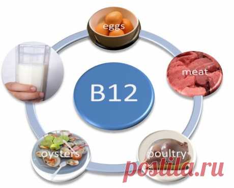 Почему нам необходим B12?
