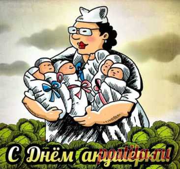 Нет профессии гуманней, нет профессии добрей,
Чем работа акушерки. Жизнь вся держится на ней!
