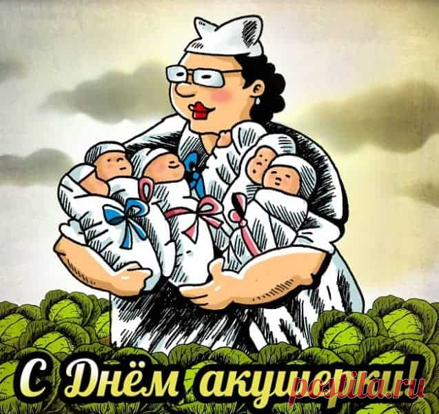 Нет профессии гуманней, нет профессии добрей,
Чем работа акушерки. Жизнь вся держится на ней!