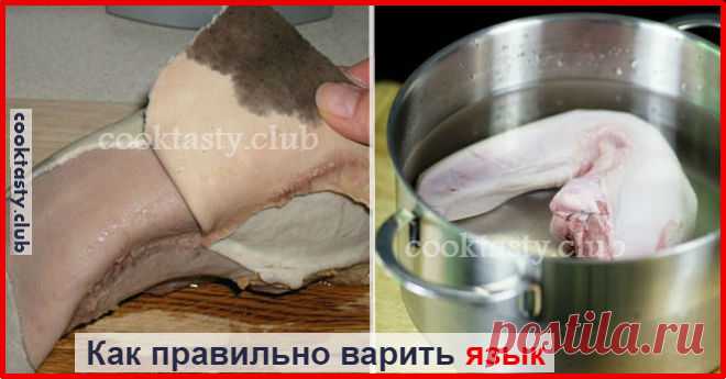 Все секреты правильного приготовления языка