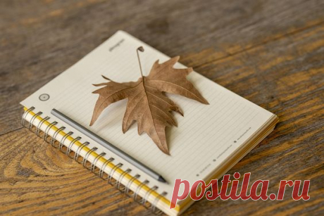 Заказать статью в Москве