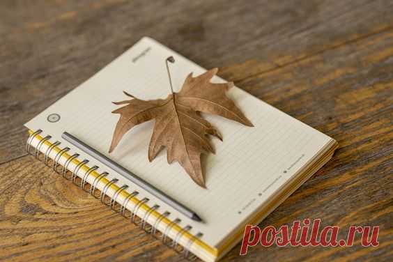 Заказать статью в Москве