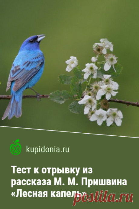 Тест к отрывку из рассказа М. М. Пришвина «Лесная капель». Тест по отрывку из рассказа Михаила Пришвина «Лесная капель». Школьная программа.