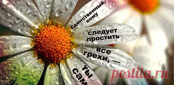 Мир цитаты – это портал, в котором собраны цитаты, фразы и афоризмы великих людей. Как в капле воды, в одной только фразе, может отражаться целый мир знания. Эти знания накоплены тысячелетиями, возникали и возникают очень часто как мысль выраженная в форме короткого высказывания в головах у великих философов, учёных, политических и религиозных деятелей, как отражение опыта, природного таланта, а иногда и гения не подвластного времени.