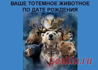 ПОДПИШИСЬ НА НАШ ПАБЛИК   Мудрость Жизни | Психология !

КАКОЕ ЖИВОТНОЕ СООТВЕТСТВУЕТ ВАШЕМУ ДНЮ РОЖДЕНИЯ
Животное по дате рождения

1 — 9 января – Собака;

10 — 24 января – Мышь;

25 — 31 января – Лев;

1-5 января – Кошка;

6 — 14 февраля – Голубь;

15 — 21 февраля – Черепаха;

22 — 28 февраля – Пантера;

1- 12 марта – Обезьяна;

13 -15 марта – Лев;

16 — 23 марта – Мышь;

24 — 31 марта – Кошка;

1 -3 апреля – Собака;

4 -14 апрель – Пантера;

15 — 26 апреля – Мышь;

27 —...
