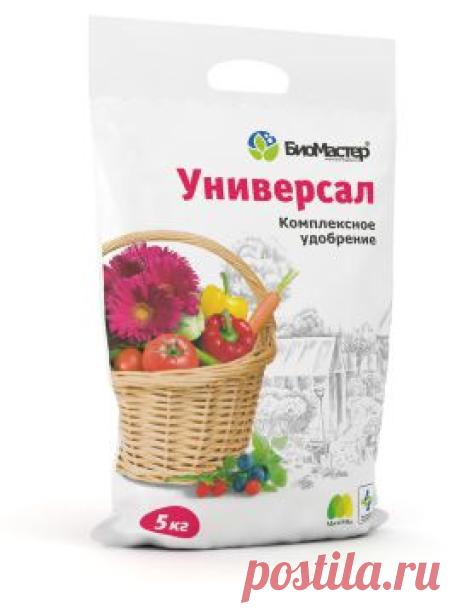 как сажать болгарский перец