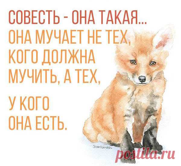 Весёлые минутки. Для всех нельзя быть пушистой 
В жизни нет ничего случайного, а все ,что происходит с нами, происходит в нужное время и в правильном месте....
Почему я нравлюсь парням младше себя? Потому что я добрая, а дети это чувствуют!
Cамая …