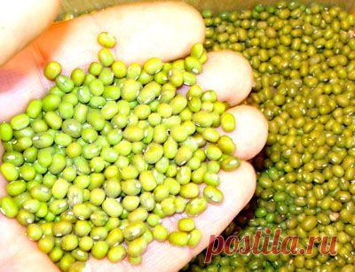 Вегетарианский суп от  "dunduk-culinar"