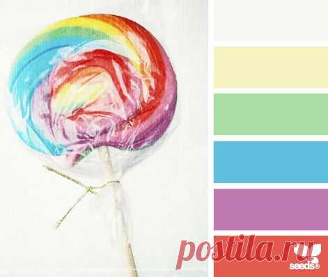 Design Seeds® | for all who ❤ color