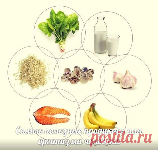 Самые полезные продукты для организма человека 🍏🍒🍆
Сохраните себе ☝

Для отдельных органов существует свой список полезных продуктов.

💚Для мозга:

- лосось
- тунец
- сардины
- грецкий орех

💚Для мышц:

- бананы от боли в мышцах
- красное мясо
- яйца
- тофу (соевый сыр)
- рыба для наращивания мышц

💚Для легких:

- брокколи
- брюссельская капуста
- китайская капуста

💚Для кожи:

- черника
- лосось
- зеленый чай

💚Для волос:

- темно-зеленые овощи
- фасоль
- лосось

...