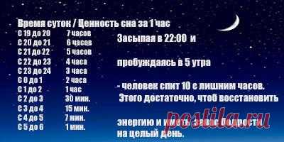 Биологические часы организма человека по часам работы.