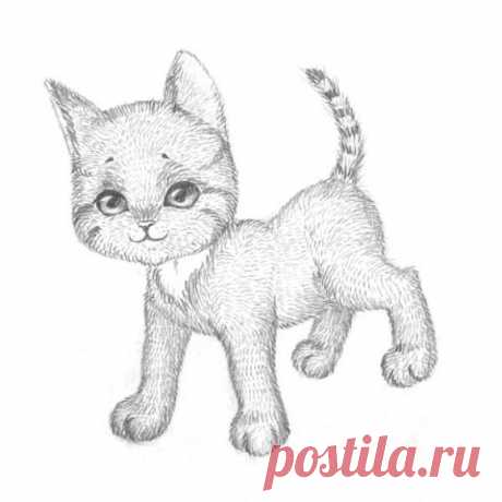 Учимся рисовать котёнка поэтапно - урок рисования карандашом для начинающих детей и школьников / Уроки рисования карандашом для начинающих - как научиться рисовать, учимся вместе / Ёжка - стихи, загадки, творчество и уроки рисования для детей