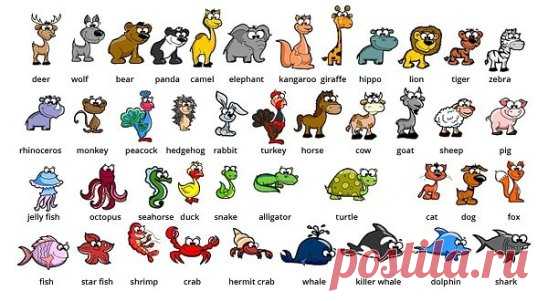 Экзотические животные
alligator — аллигатор 
antelope — антилопа 
bear — медведь 
camel — верблюд 
chimpanzee — шимпанзе 
crocodile — крокодил 
elephant — слон 
emu — эму 
giraffe — жираф 
gorilla — горилла 
hippo (сокращённо от hippopotamus) — гиппопотам 
kangaroo — кенгуру 
leopard — леопард 
lion — лев 
monkey — обезьяна 
ostrich — страус 
panda — панда 
penguin — пингвин 
polar bear — белый медведь 
reindeer — северный олень 
rhino (сокращённо от rhinoceros) — носорог 
snake — змея 
tiger —