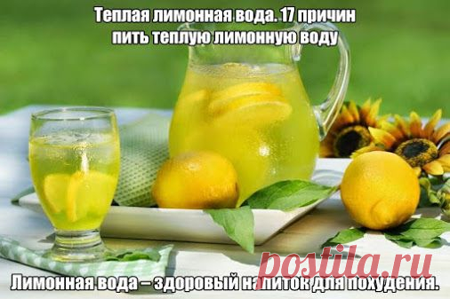 Радости жизни – Google+