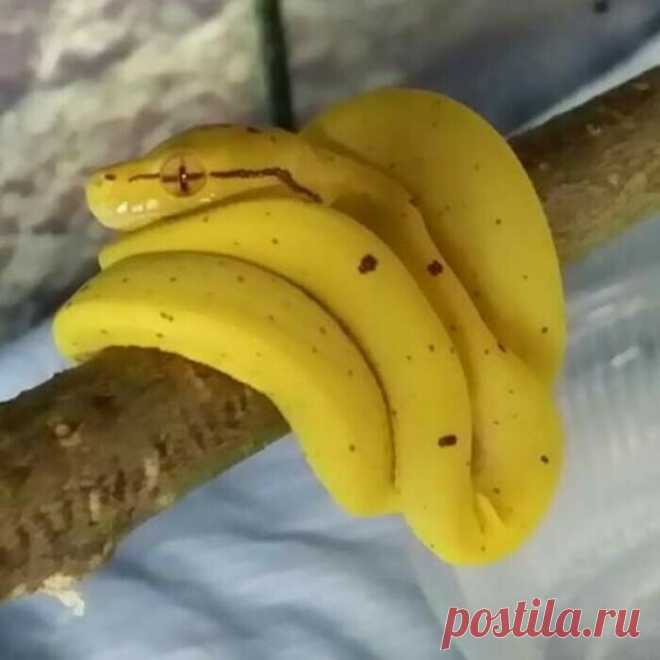 35 фотографий, на которых можно увидеть совсем не то, что изображено