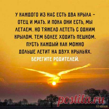 берегите родителей