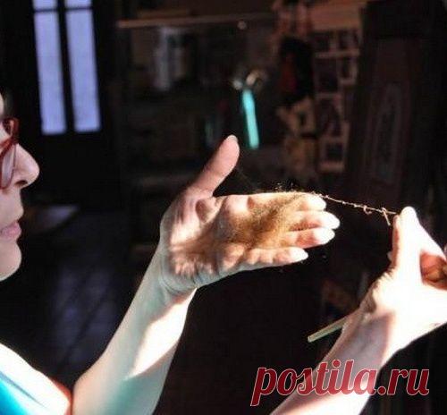 10 исчезающих вещей, которые остались в одном экземпляре