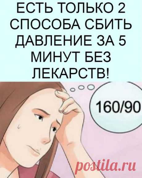 ЕСТЬ ТОЛЬКО 2 СПОСОБА СБИТЬ ДАВЛЕНИЕ ЗА 5 МИНУТ БЕЗ ЛЕКАРСТВ!
| шапка капор ушанка с отворотом на зиму для мальчика мужская объемная ушками чалма козырьком платочной вязки зимняя женская детская макушка колосок капюшон платье куклы мотивами зима свадебное со схемой комбинированное детское ажурное 1 год ананасами зайка в свитер миссони оверсайз свободное льняное