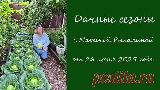 Дачные сезоны с Мариной Рыкалиной от 26 июня 2025 года | Дачные Сезоны с Мариной Рыкалиной | Дзен