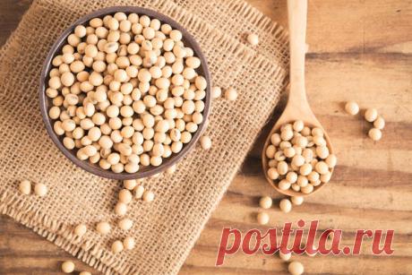 Как приготовить сыр тофу в домашних условиях