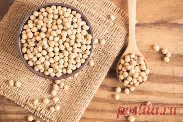 Как приготовить сыр тофу в домашних условиях