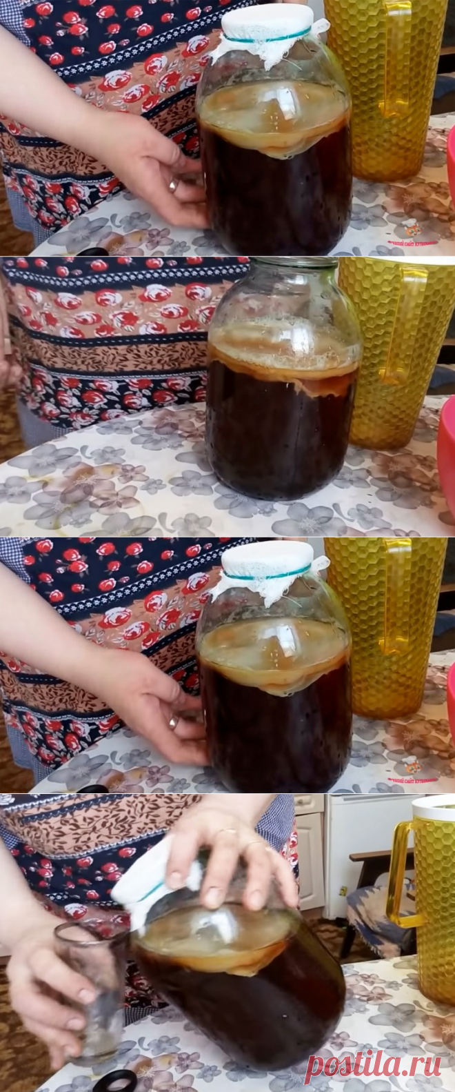 Чайный гриб. Уход и приготовление