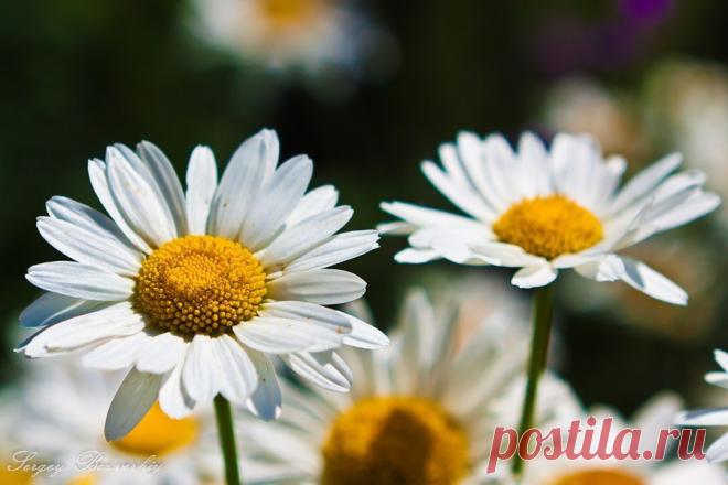 Интересные новости