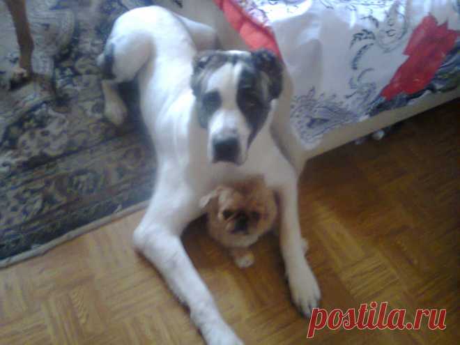 Вот такая дружба крепкая)))