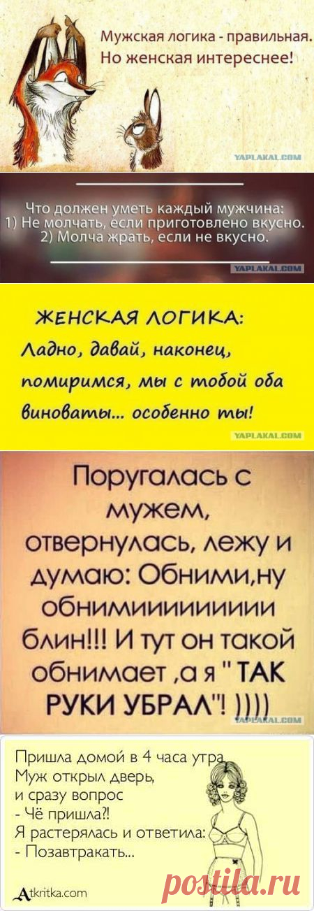 Женская логика в картинках — Всегда в форме!