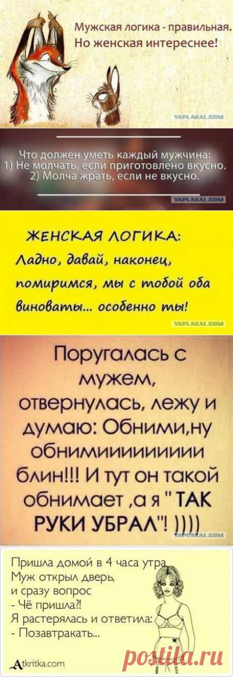 Женская логика в картинках — Всегда в форме!