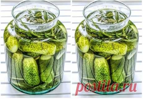 Маринованные огурцы "Болгария отдыхает"  
Очень вкусные и хрустящие. 
Ингредиенты: 
- огурец (сколько влезет в 4 литровых банки, примерно 1,2 кг.)... 
Поkaзать полнocmью....