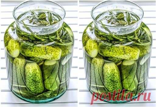 Маринованные огурцы 