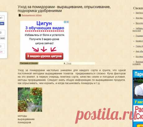 Подкормка и опрыскивание помидоров