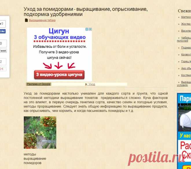 Подкормка и опрыскивание помидоров