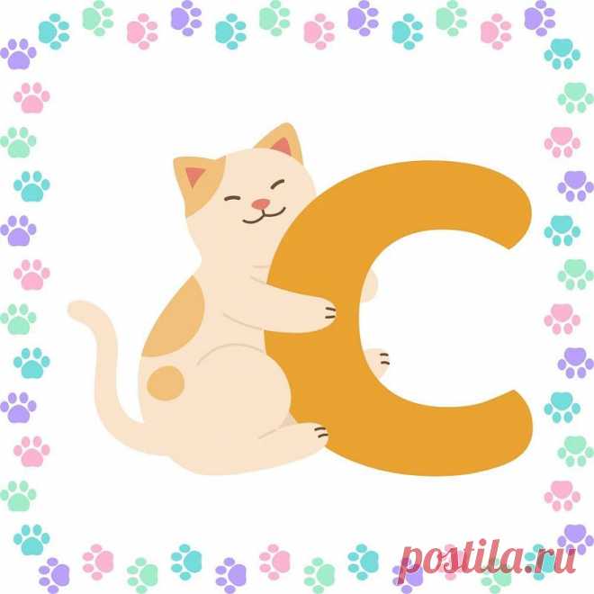 In a world that often seems fast-paced and demanding, the concept of cuteness can serve as a delightful respite. Embracing cuteness can bring joy and lightness, reminding us to appreciate the simple and heartwarming moments. Whether through adorable animal videos, charming art, or even setting a "C-name dp" (display picture) on social media, integrating cuteness can positively affect our well-being.