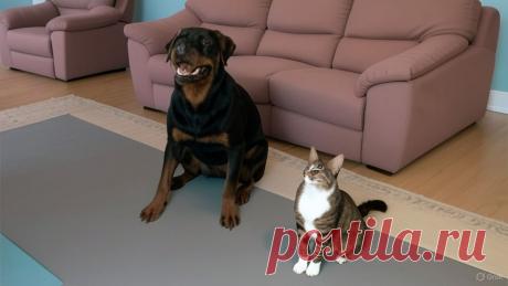 Подмена - OGADANIE.RU